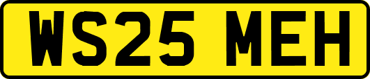 WS25MEH