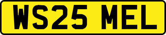 WS25MEL