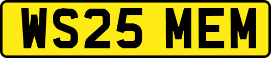 WS25MEM
