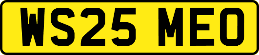WS25MEO