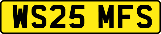 WS25MFS