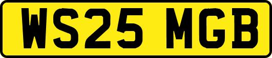 WS25MGB