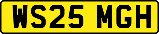 WS25MGH