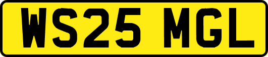 WS25MGL