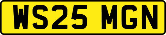 WS25MGN