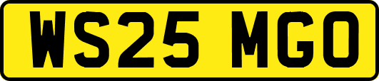 WS25MGO