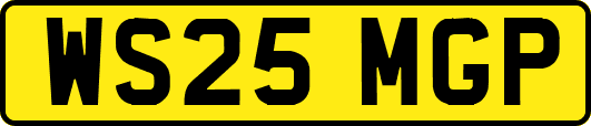 WS25MGP