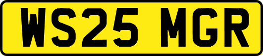 WS25MGR