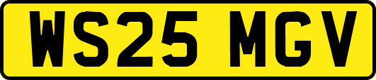 WS25MGV