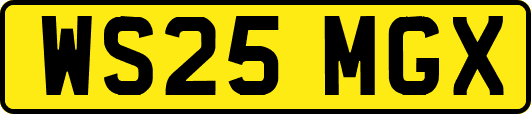 WS25MGX