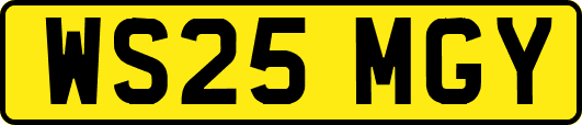 WS25MGY