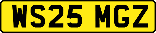 WS25MGZ