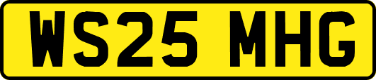 WS25MHG