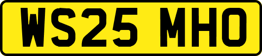 WS25MHO