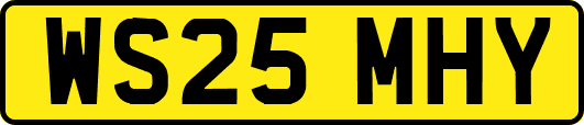 WS25MHY