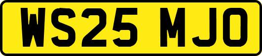 WS25MJO