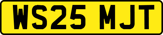WS25MJT