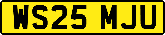 WS25MJU