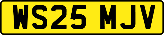 WS25MJV