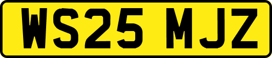 WS25MJZ