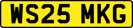 WS25MKG