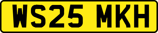 WS25MKH