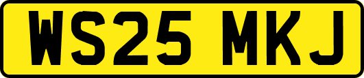 WS25MKJ