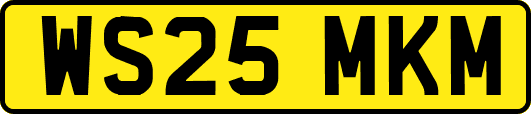 WS25MKM