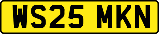 WS25MKN