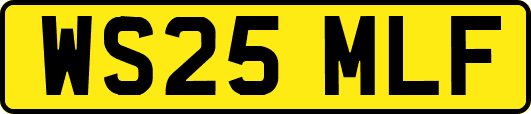 WS25MLF