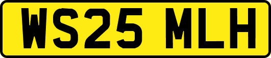 WS25MLH