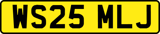 WS25MLJ