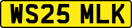 WS25MLK