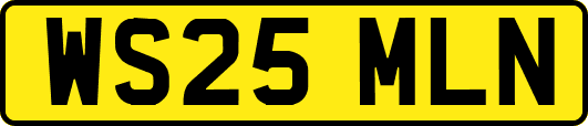 WS25MLN
