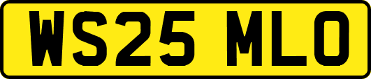 WS25MLO