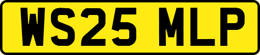 WS25MLP