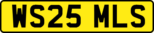 WS25MLS