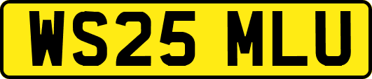 WS25MLU