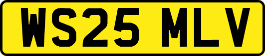 WS25MLV