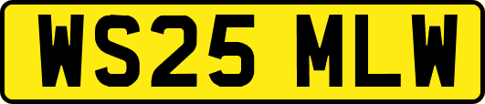 WS25MLW