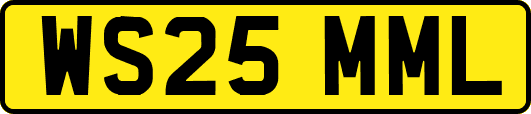 WS25MML