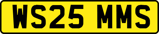 WS25MMS