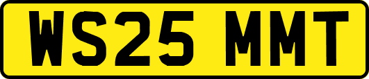WS25MMT