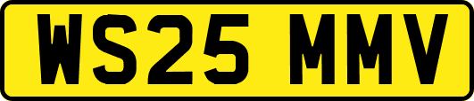 WS25MMV