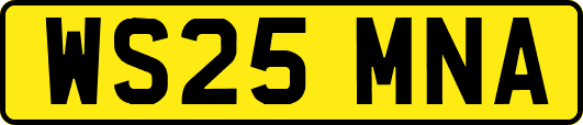 WS25MNA