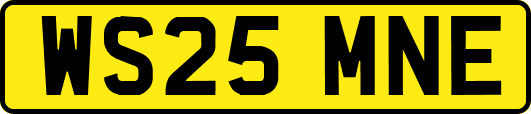 WS25MNE