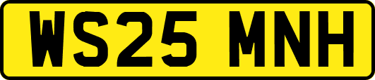 WS25MNH