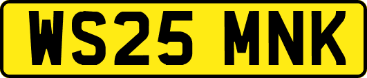 WS25MNK