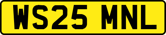 WS25MNL