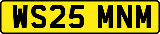 WS25MNM